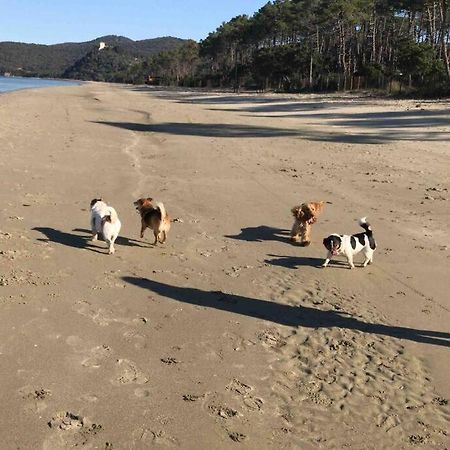 Agriturismo Il Sorbino - Appartamento Da Cocca Pian d'Alma Dış mekan fotoğraf