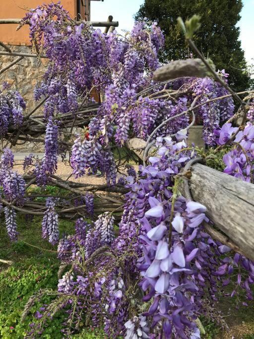 Agriturismo Il Sorbino - Appartamento Da Cocca Pian d'Alma Dış mekan fotoğraf