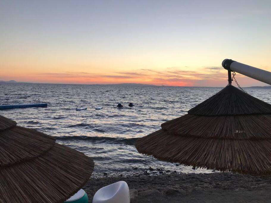 Agriturismo Il Sorbino - Appartamento Da Cocca Pian d'Alma Dış mekan fotoğraf