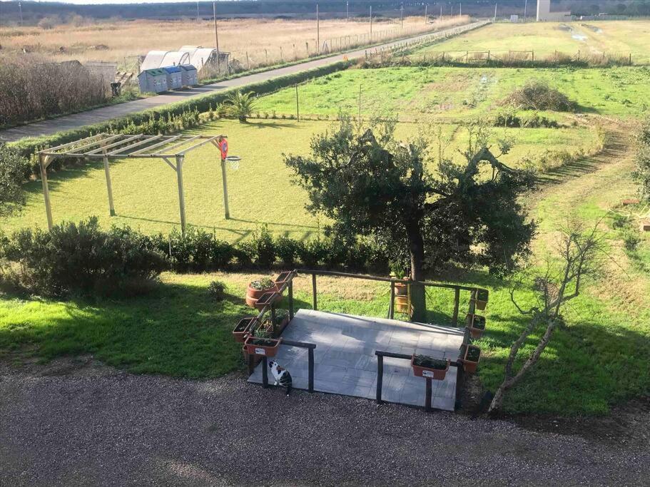 Agriturismo Il Sorbino - Appartamento Da Cocca Pian d'Alma Dış mekan fotoğraf